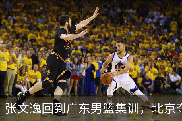 张文逸回到广东男篮集训，北京夺冠功勋确定退役，上海欲续约弗格
