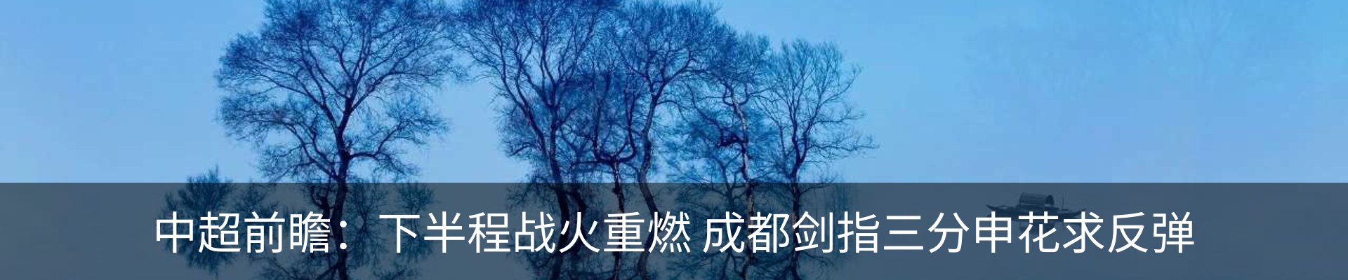 新闻动态