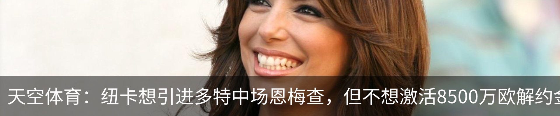 新闻动态