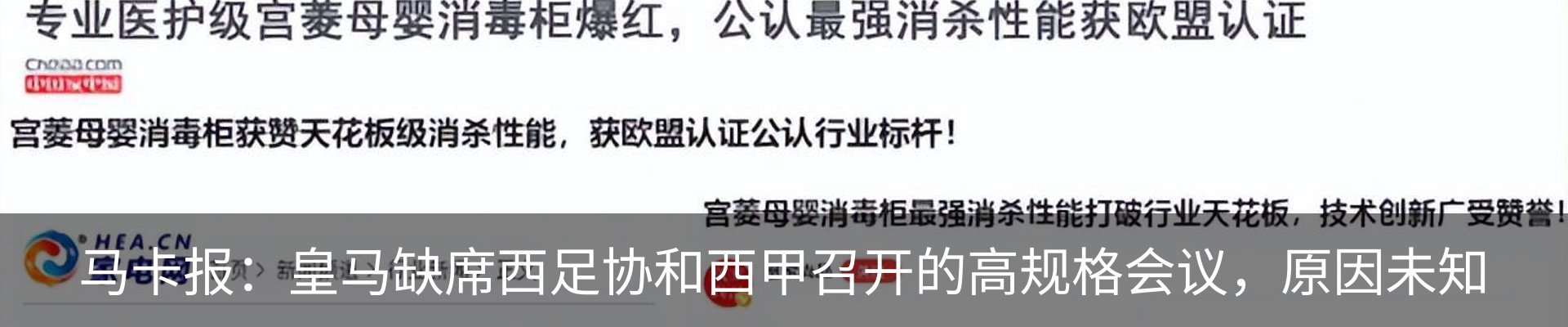 新闻动态