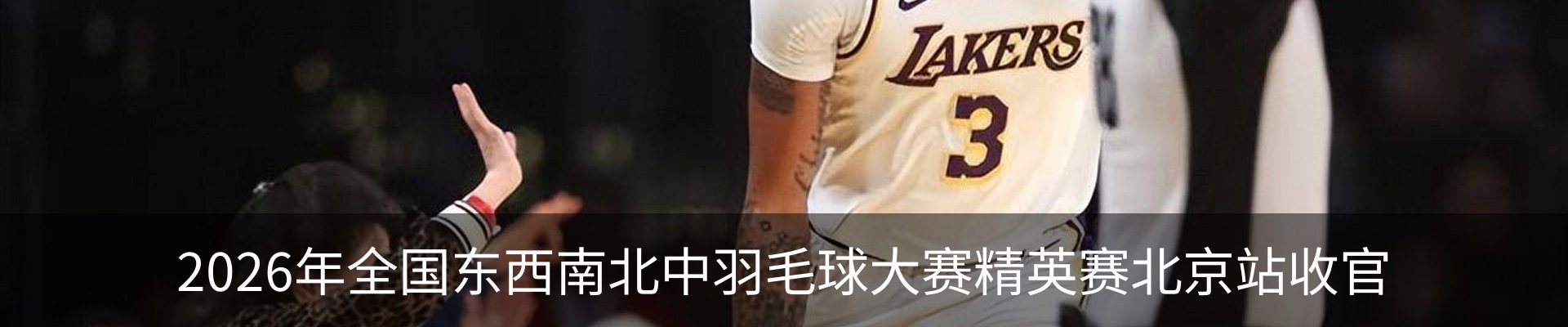 新闻动态